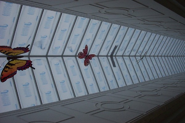 DCP_3198.jpg